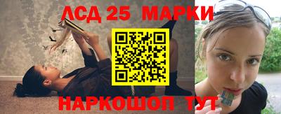 стафф Дубна