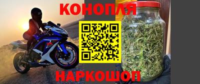 стафф Дубна