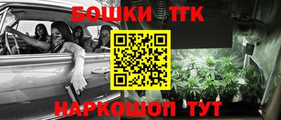 стафф Дубна